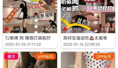 [转载搬运] 玩物直播20250601 【冰卿S】第一视角-黑丝辱母臀炸 [1v+900mb][百度盘]