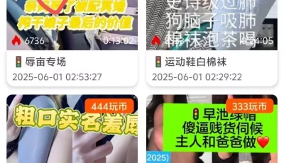 [转载搬运] 玩物直播20250601【姜琦琦】第一视角-辱亩专场 [1v+300mb][百度盘]