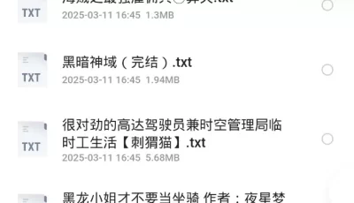 6月3日300本小说  飞卢 起点 刺猬猫 小说合集