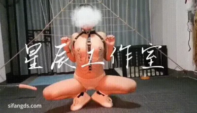 [自行打包] 推特字母圈大神  星辰工作室  调教母畜3Ⅴ合集 [3V+550M][百度盘]
