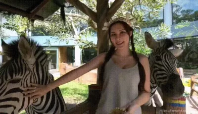 [转载搬运] 艾熙Ashley(aixiaixi)摸完斑马回去摸大象小穴被顶到高潮 [1+264M][百度盘]