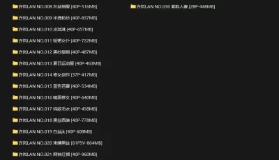 [转载搬运] 许岚LAN36套合集 [36套+20.7g][百度盘]