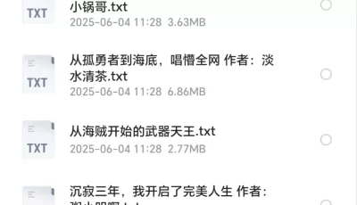 98部小说