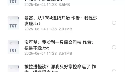 1月3号98部小说