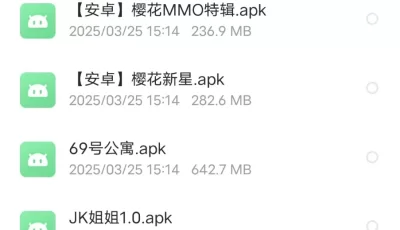 (安卓直装)游戏合集