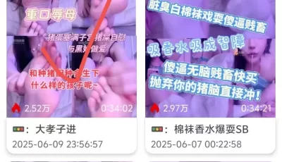 [转载搬运] 20250609 【梦二S】第一视角-大孝子进 [1v+800mb][百度盘]
