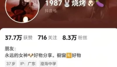 [自行打包] 1987烧烤老板娘 张h华 疑似准备复出 经典之作红板凳三部曲... [1v+458M][百度盘]