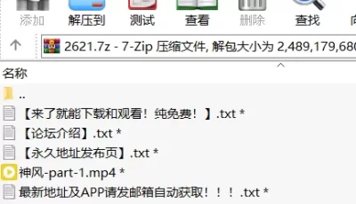 [自行打包] 【高清修复】大城舞衣子神風無碼第二彈part--1 [1v+2.3G][百度盘]