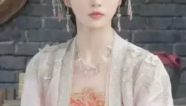 [转载搬运] 明星 ai 视频 [20v+10m][百度盘]