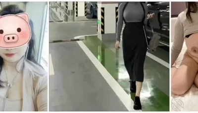[转载搬运] 去接机姐夫航班延误，趁机跟姐姐在车上来一发四川话对白 [1V+236M][百度盘]