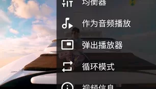 VLC安卓版视频播放器（纯净无广，很好用）