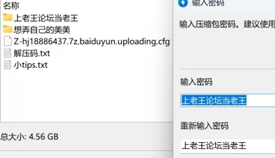 [自行打包] 想操自己的妹妹 [12V155P+4.56G][百度盘]