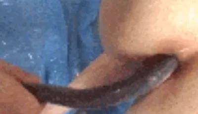 [转载搬运] 【人兽】哥哥你要抓稳了 猎奇人鳝大战进去出不来了 [1+600m][百度盘]