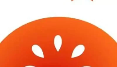 番茄免费小说，破解版，打开直接用，无广告