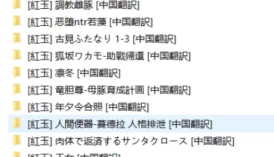 [自行打包] [480期][黒いモノ (紅玉)] [79+8.4GB][百度盘]