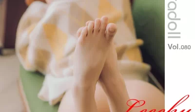 [转载搬运] Pure Media大合集 [Np Nv+92.13GB][百度盘]