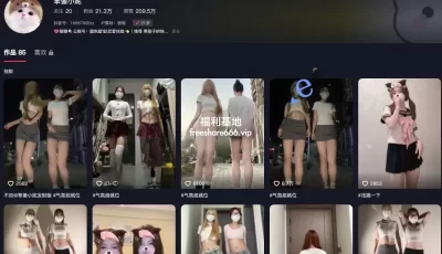 [转载搬运] 抖音笨蛋小妮/桃子穿JK装没穿内裤跳舞4V/339M [1+339M][百度盘]