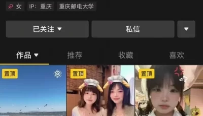 [自行打包] 抖音大奶甜妹 猫猫忠仆/我是舔狗 反差裸舞自慰啪啪定制 [30v+569.28M][百度盘]