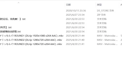 [自行打包] 寝取られファイター ヤリっちんぐ! ROUND1-3[无码/巨乳/多P] [3v+1本+1G][百度盘]