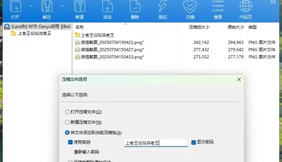 [自行打包] [dlaldn] No.49 流螢 [1v+226mb][百度盘]